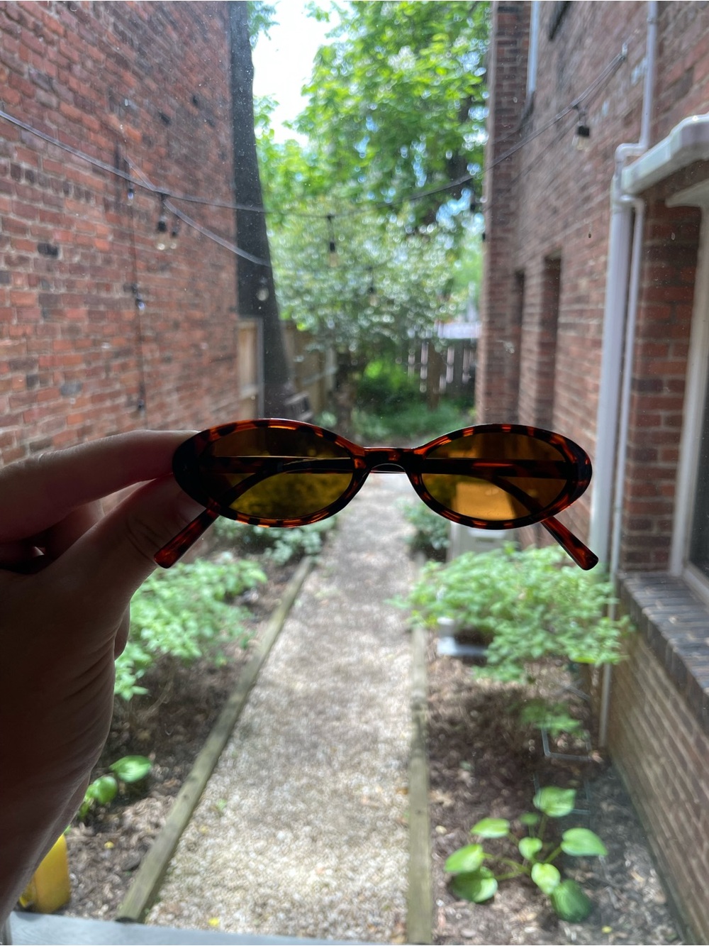 slim cute cat-eye oval sunglasses in tortoise shell - amber lenses